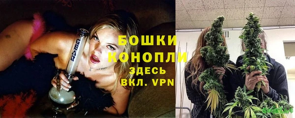 спайс Ладушкин