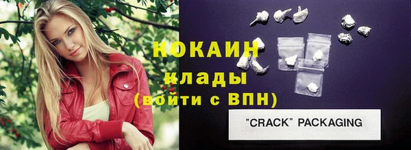 спайс Ладушкин