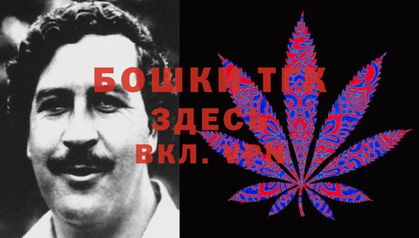 спайс Ладушкин