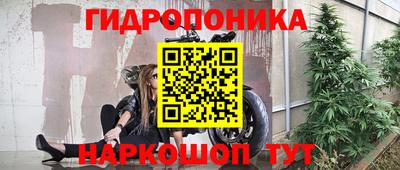 spice Заволжье