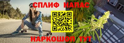 гидра Заводоуковск