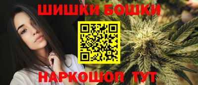 гидра Заводоуковск