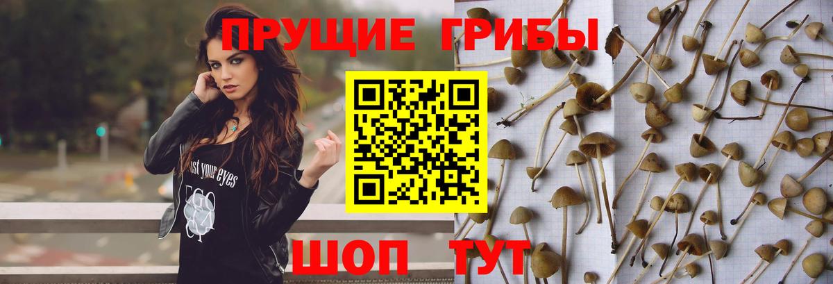Рыбинск  Псилоцибиновые грибы ЛСД  Псилоцибиновые грибы Magic Shrooms  дарнет шоп  Вход с VPN 